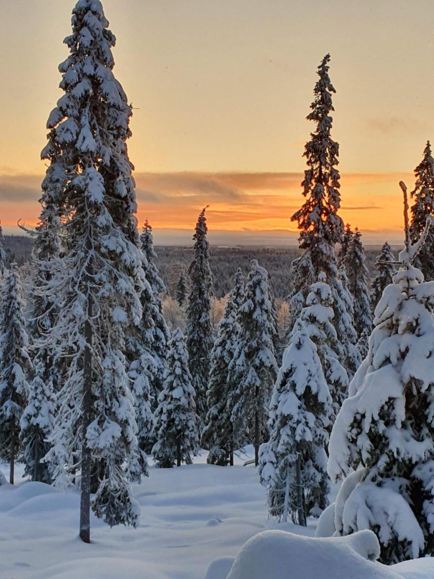 Hietavilla Borealis Ruka Bagian luar foto