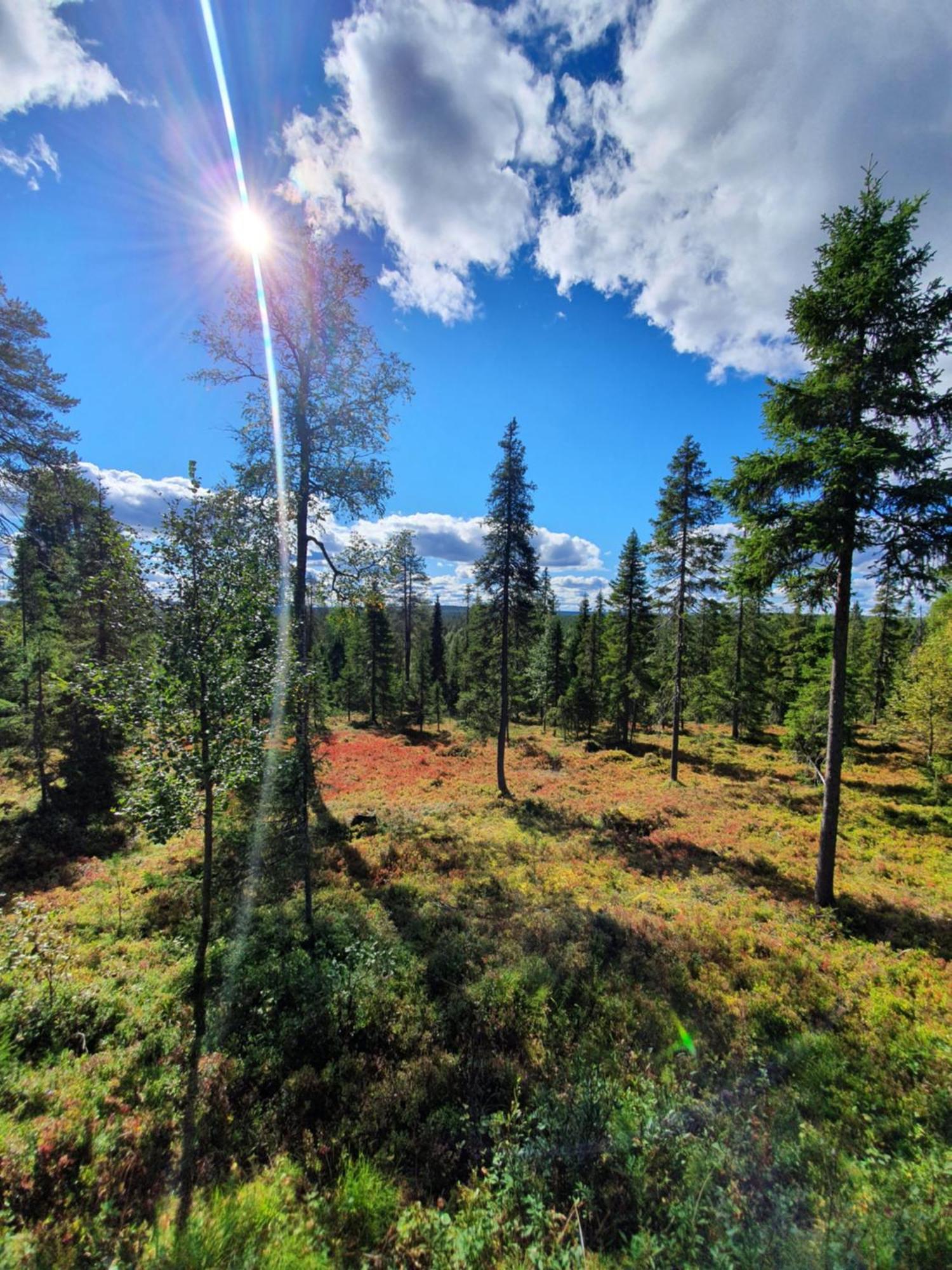Hietavilla Borealis Ruka Bagian luar foto